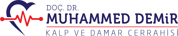 Doç. Dr. Muhammed Demir